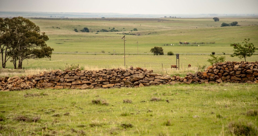 18 Bedroom Property for Sale in Heilbron Free State
